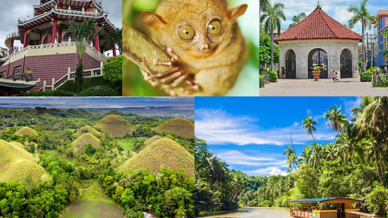 Cebu & Bohol